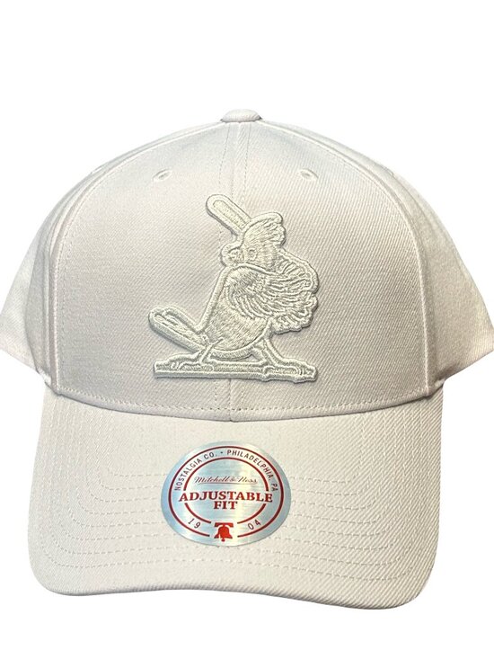 Mitchell & Ness Other - NWT St. Louis Cardinals Mitchell & Ness White on White Logo Adjustable Hat